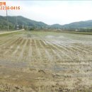 보덕1리마을회관 이미지