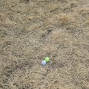 무안 클린벨리 CC | 전남 무안 클린밸리CC 라운딩 후기 가성비 좋은 전라도 골프장