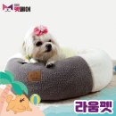 라움펫 네이버블로그