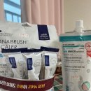 영민메디 | 강아지 생일파티 후기