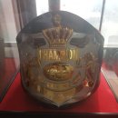 용인대 탑 복싱 이미지