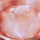 태흥식당 이미지