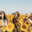 데이비스농장 이미지