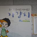 부산 자갈치횟집 신동아시장 4만원 코스 자갈치맛집 부천상회