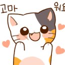 회신물회