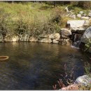 황매산등산로 이미지