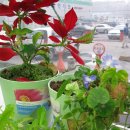 장수동물약국 이미지