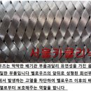 뉴서울카클리닉