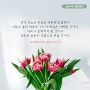 [CTS 말씀이미지] 요한복음 16장 20절 #말씀이미지 #감경철 #CTS #핸드폰배경화면 이미지