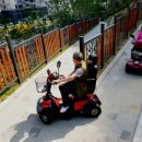 양지게이트볼장 이미지