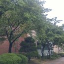 분당-182 이미지