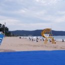 완도 고금도 지석묘군 이미지