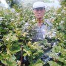 가마골농장 이미지