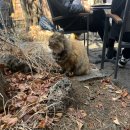 NR-42[경인로]-상-21 | 3月片(2): 내 생각에 이건 마치