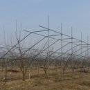 장금농장 이미지