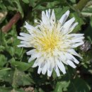 금현농장 이미지