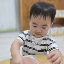 8/13 팡팡뮤직🦁🦔🍉 이미지