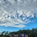 원가3교 | 보성 농촌유학 12주차 / 농촌유학 학부모 나들이 / 체력 회복중 / 농촌유학 연장vs포기 결정