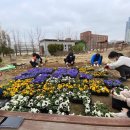 나비채생태공원 이미지