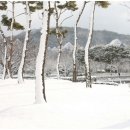조선대학교 이미지