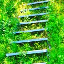 삼백번지 이미지