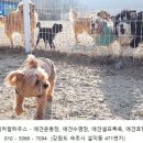 풍경게스트호텔 이미지