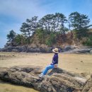 GS25 문학중앙점 | 2025년 숙박여행 총정리 1편 | 상반기(1월~6월)