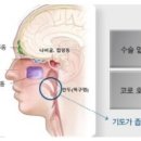 코숨푸른한의원 네이버블로그