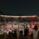 수원-0606 이미지