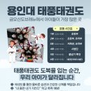 금오태권도 이미지