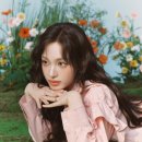 리즈픽 네이버블로그