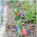 대한예수교장로회 목양교회 이미지