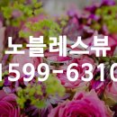 노블레스 뷰 이미지