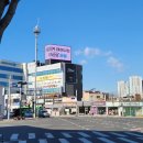 새본 정형외과 이미지