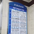 서현 나들이 ② 고양이카페 옆 무인 탁구장🏓 30분 만에 땀 뻘뻘
