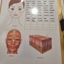 (주)그레이스온