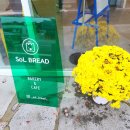 솔브레드 이미지