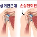 하버드재활의학과의원 이미지