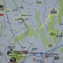 남원 진기리 느티나무 이미지