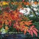 팔월펜션 이미지