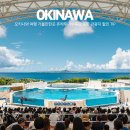 펀하모니카(5월) | 오키나와 여행 가볼만한곳 츄라우미수족관 포함 관광지 할인 TIP