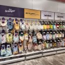 몰리스펫샵 센텀 이미지