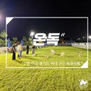 수원-1500 | 수원근교애견카페 1500평 천연잔디 수원근교 최대 규모 온독 후기