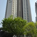 서초조은공인중개사사무소 이미지