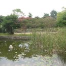 안면도자연휴양림 이미지