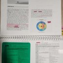 초록별어린이집 | 1년만에 쓰는 묵은 초등임용 합격후기2 (2025합격) -재임용의 1차 준비