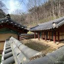용진그린 이미지