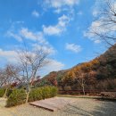 서운산자연휴양림 이미지