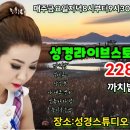 라이브스토리 Daum카페