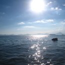 보물섬캠핑장 이미지